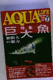 月刊 AQUA LIFE 2000/7