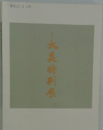 大美特別展