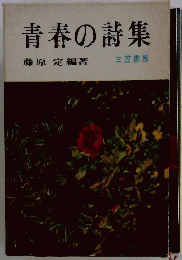青春の詩集