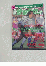 サッカー　1994年