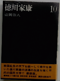徳川家康10