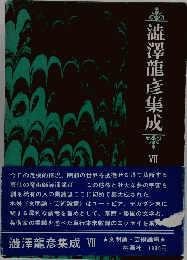澁澤龍彦集成　VII