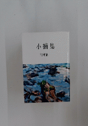 小摘集