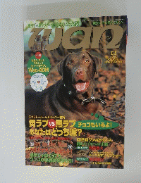 wan　2000年12月