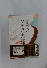新訳源氏物語