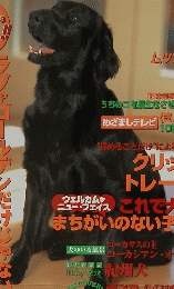 wan　2000年4月号