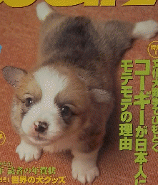 ワン　2001年3月