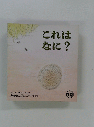 これはなに?　10