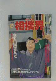 相撲甲斐　1994年12月