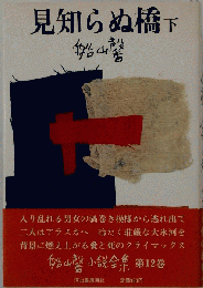見知らぬ橋下