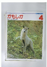 かもしか