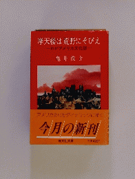 摩天楼は荒野にそびえ　わがアメリカ文化誌