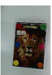 動物