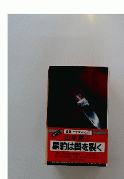 黒豹は闇を裂く