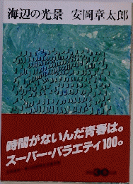 海辺の光景 安岡章太郎