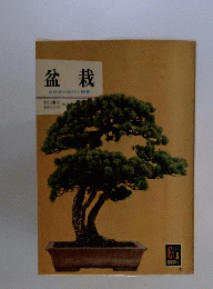 盆栽　自然美の創作と観賞