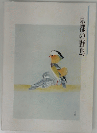 京都の野鳥