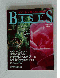 BISES　1999年12月