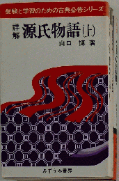 詳解源氏物語