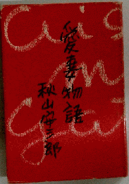 愛妻物語