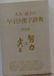 大きい活字の早引き漢字辞典
