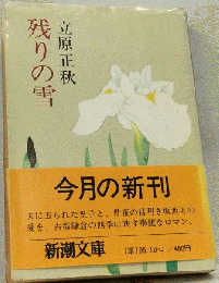 残りの雪　 