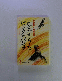 トビがさらったピンクのパジャマ　森の動物と人間の物語 16