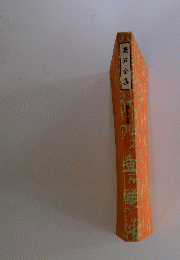 漱石全集　第三十三巻