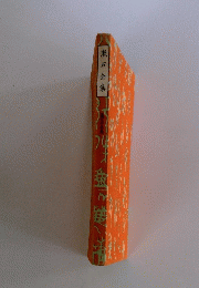 漱石全集　25
