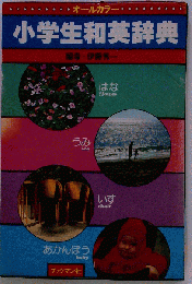 オールカラー小学生和英辞典