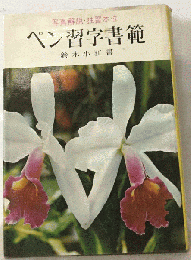 ペン習字書範 写真解説 独習本位
