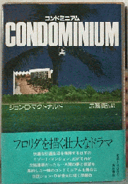 コンドミニアム 上