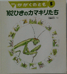 162ひきのカマキリたち 月刊かがくのとも 2000年5月号