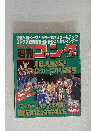 週刊ゴング　1994年5月5日号　