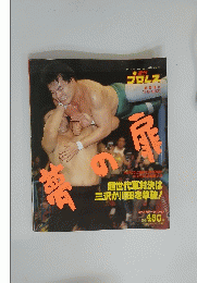 週刊プロレス　夢の扉　11/8 No. 521