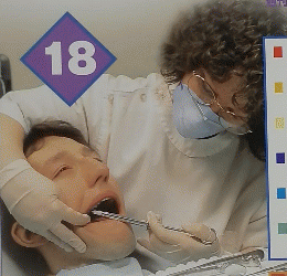 HumanBody　18