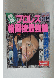 プロレス　格闘技最強論　6月12日 増刊号