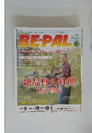 BE-PAL　11
