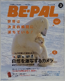 BE-PAL　3