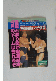 1996年3月26日 東京体育館 新日本プロレス 『団体対抗ワンナイト・タッグ・トーナメント』速報 団体対抗タッグ大戦争