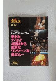 週刊プロレス　緊急増刊8/5No.682