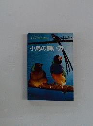 小鳥の飼い方