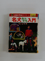 名犬なんでも入門　