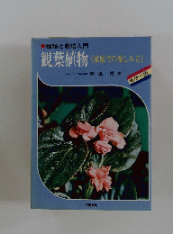 観葉植物　家庭での楽しみ方　