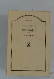 文庫書下ろし長編歴史小説　服部半蔵　3　