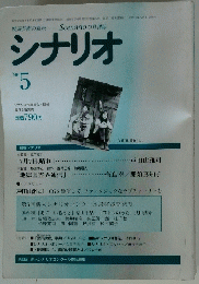 シナリオ １９９６年５月
