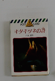 キタキツネの詩