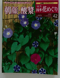 花めぐり　7月17日号　No.42　朝顔・酸漿