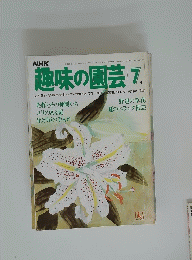 NHK　趣味の園芸 7