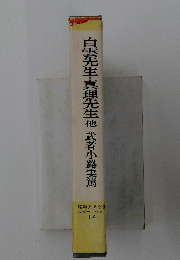 白雲先生・真理先生他